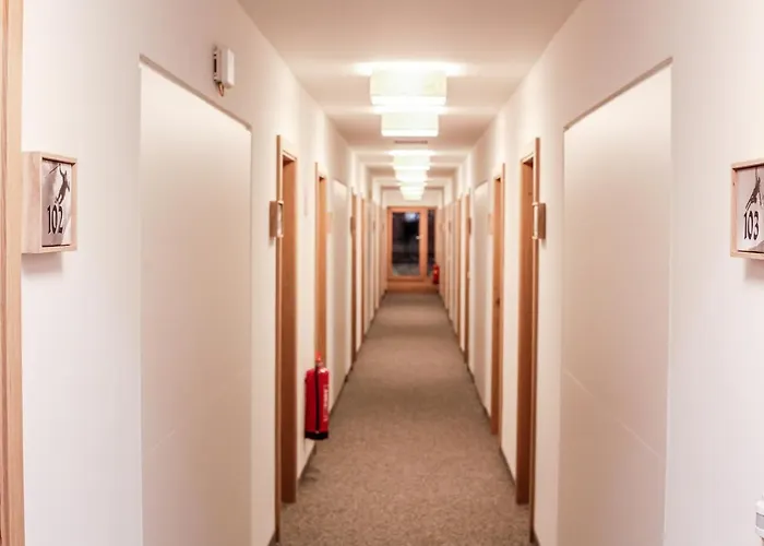 Lizum 1600 | Kompetenzzentrum Snowsport Tirol מלון 3*